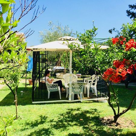Flamingo Cottage Ulcinj Exterior foto